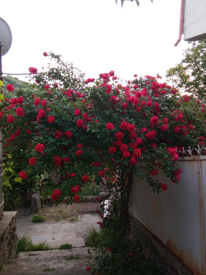 Hotel Kizikis Kari Sighnaghi Exterior foto