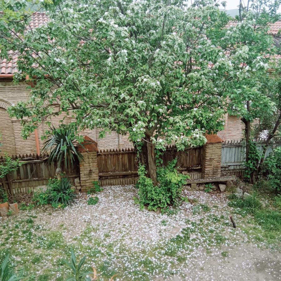 Hotel Kizikis Kari Sighnaghi Exterior foto